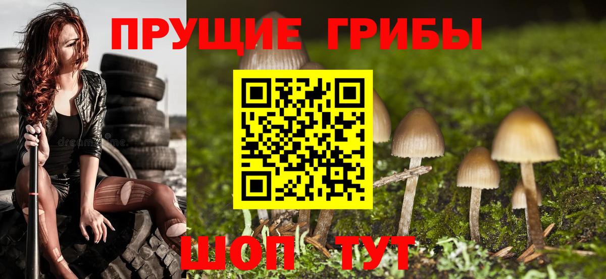 Галлюциногенные грибы Cubensis  Галлюциногенные грибы Psilocybe  Партизанск  Вход с VPN 
