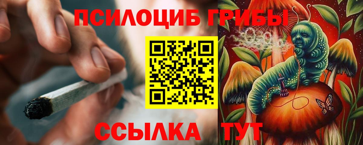 Псилоцибиновые грибы прущие грибы Партизанск